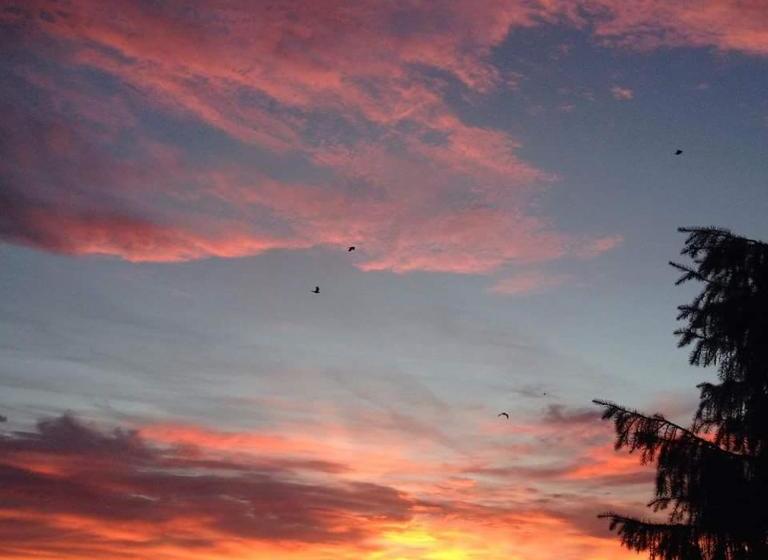 Alberg Falmouth Lodge