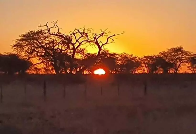 هتل Okaputa Guest Farm