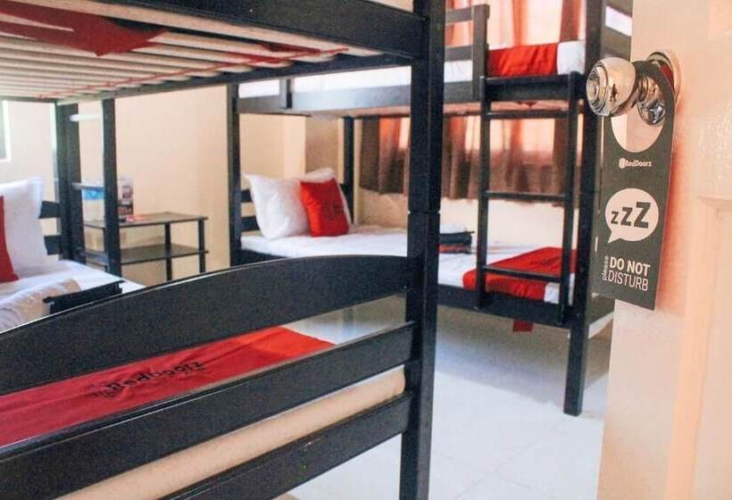 ホテル Reddoorz Near Panglao Municipal Hall