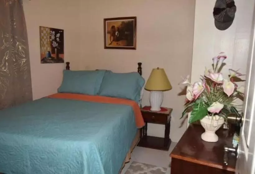 پانسیون Aileen Palm Cove Ja