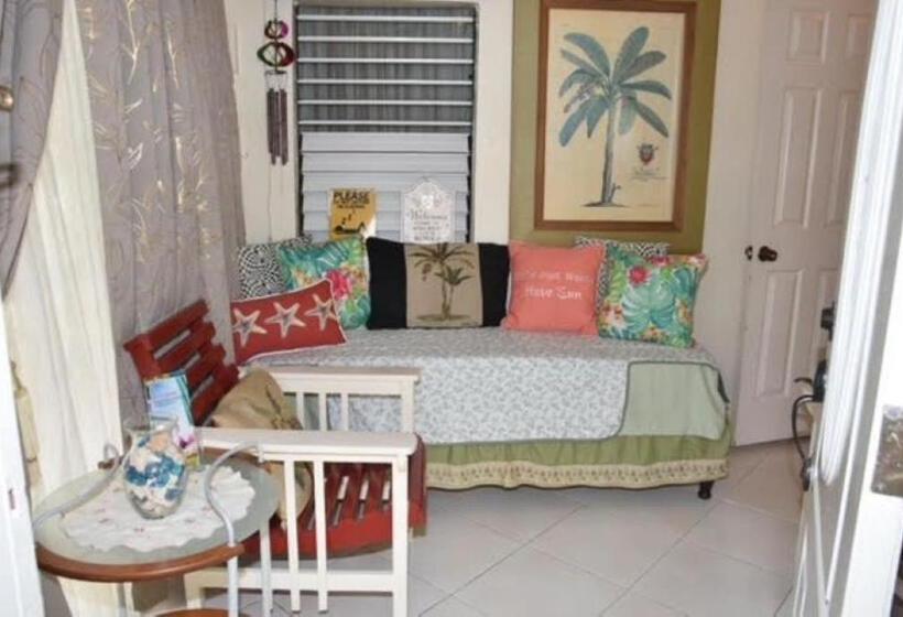 پانسیون Aileen Palm Cove Ja