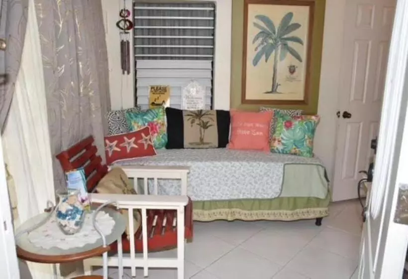 پانسیون Aileen Palm Cove Ja