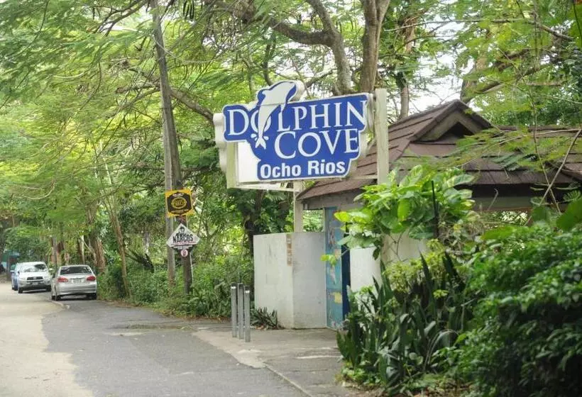 پانسیون Aileen Palm Cove Ja