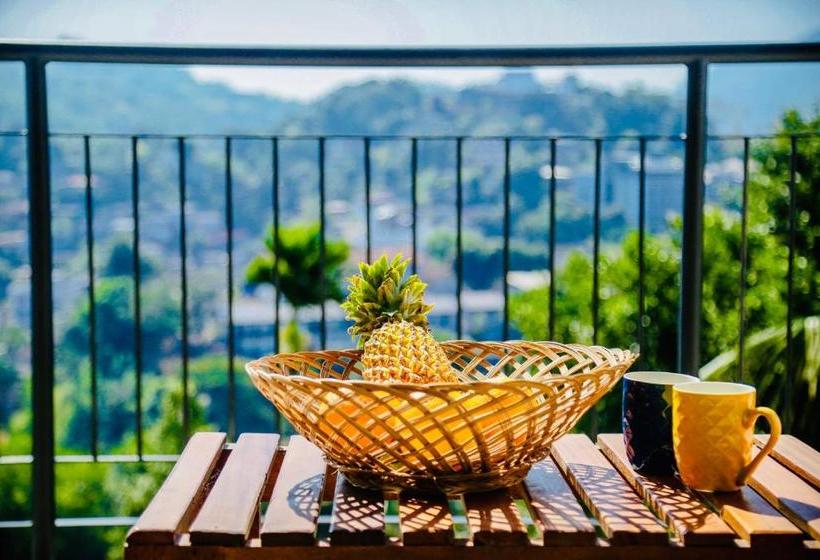 Pensjonat The Saffron Kandy