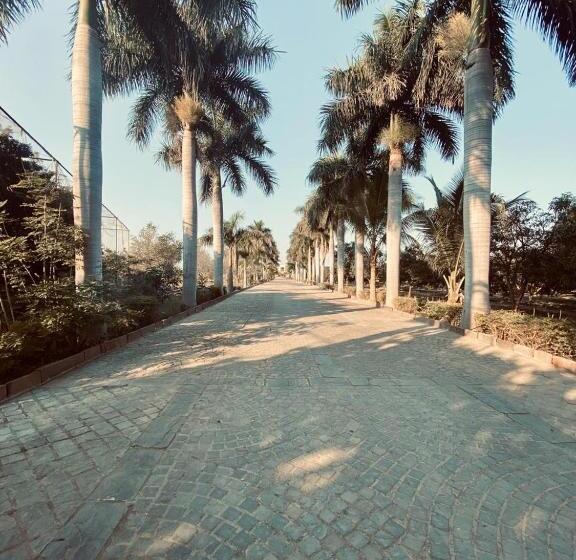 渡假胜地 Shambhala