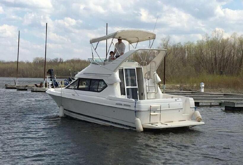 פנסיון Kootenay Wild Guest Suites