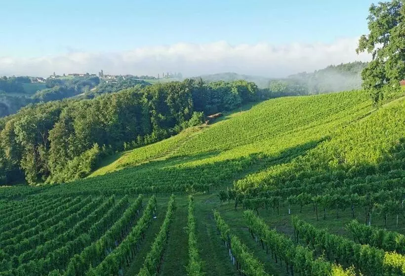Hotel Weingut Assigal