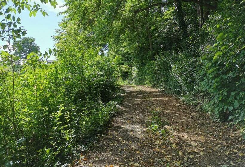 Отель Weingut Assigal