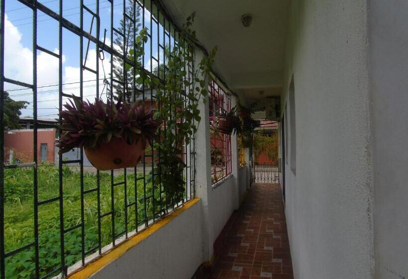 پانسیون Posada Miss Joyce House