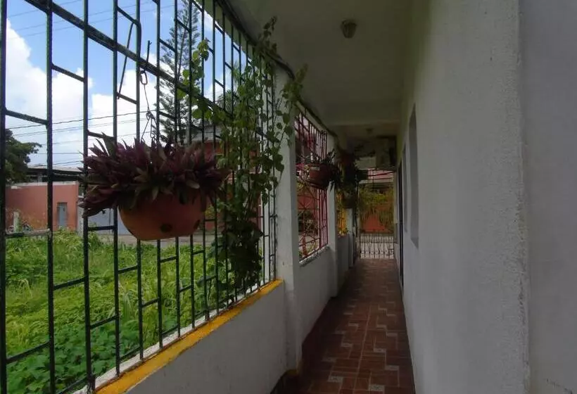 پانسیون Posada Miss Joyce House