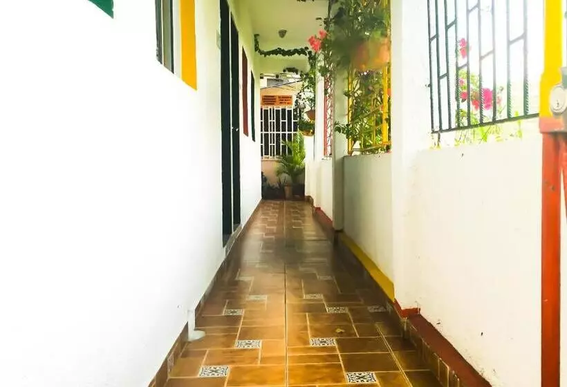 پانسیون Posada Miss Joyce House