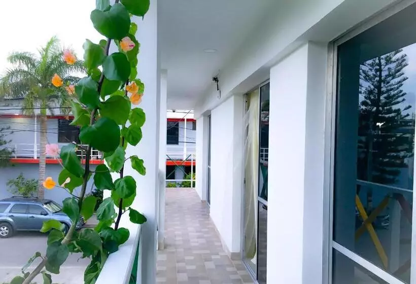 پانسیون Posada Miss Joyce House