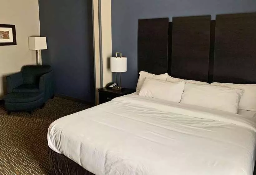 فندق Comfort Inn & Suites Columbus North