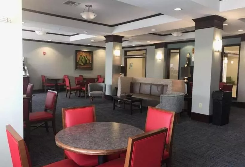酒店 Holiday Inn Express And Suites Snyder, An Ihg