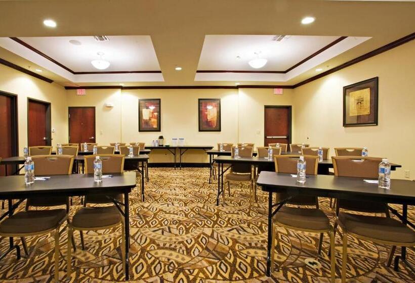 فندق Holiday Inn Express And Suites Snyder, An Ihg