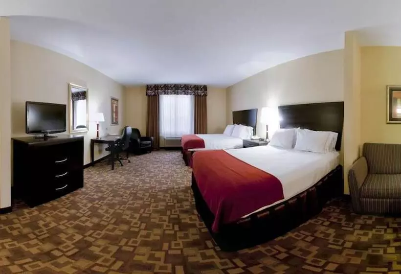 酒店 Holiday Inn Express And Suites Snyder, An Ihg
