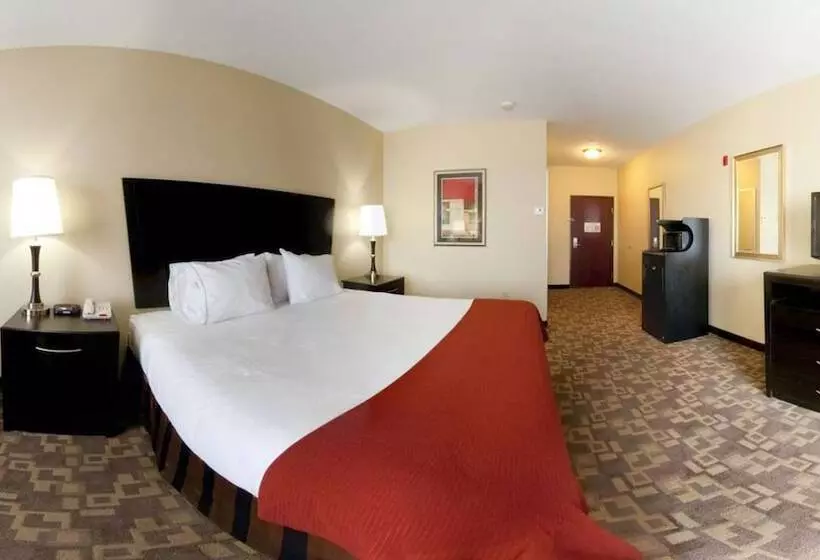 酒店 Holiday Inn Express And Suites Snyder, An Ihg