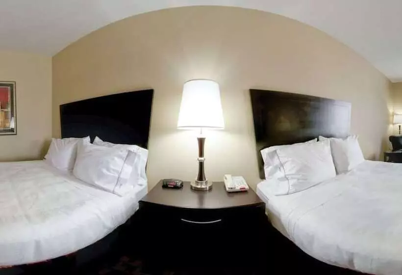 酒店 Holiday Inn Express And Suites Snyder, An Ihg