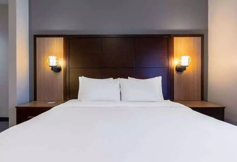 Szálloda Wingate By Wyndham Dfw / North Irving