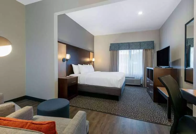 Szálloda Wingate By Wyndham Dfw / North Irving