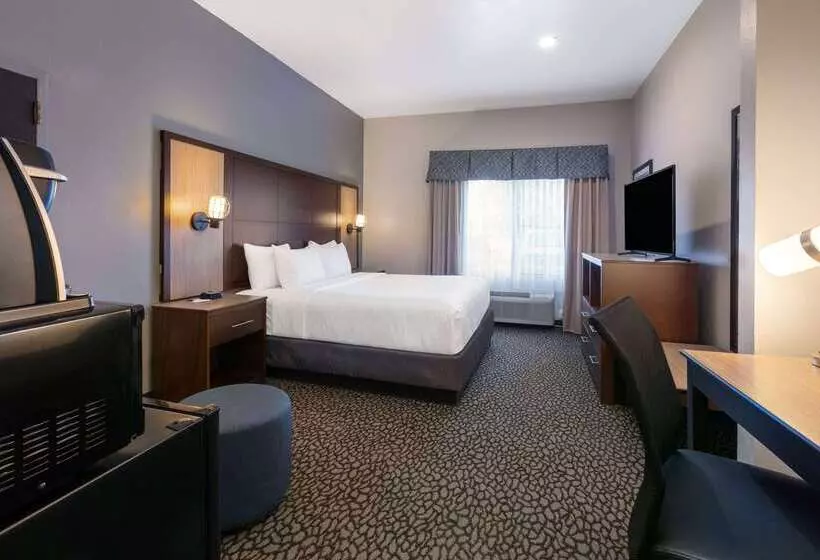 Szálloda Wingate By Wyndham Dfw / North Irving