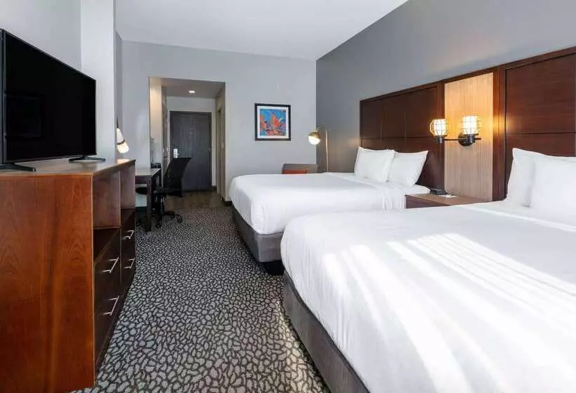 Szálloda Wingate By Wyndham Dfw / North Irving