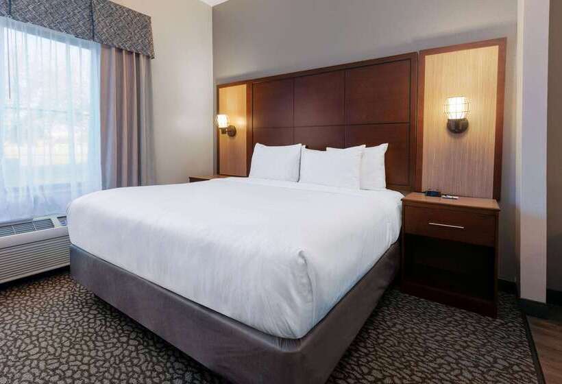 ホテル Wingate By Wyndham Dfw / North Irving