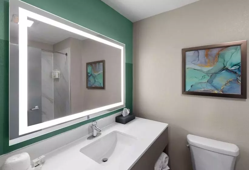 酒店 Wingate By Wyndham Sulphur Near Lake Charles