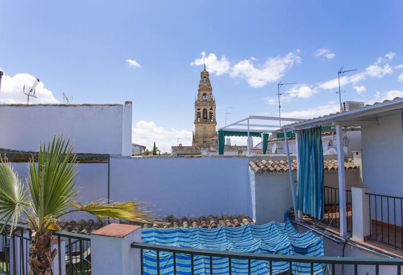 مسافرخانه Arc House Cordoba