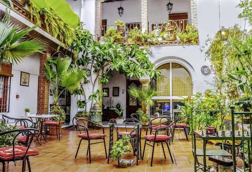 مسافرخانه Arc House Cordoba