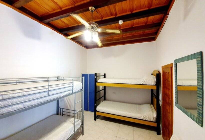 مسافرخانه Arc House Cordoba