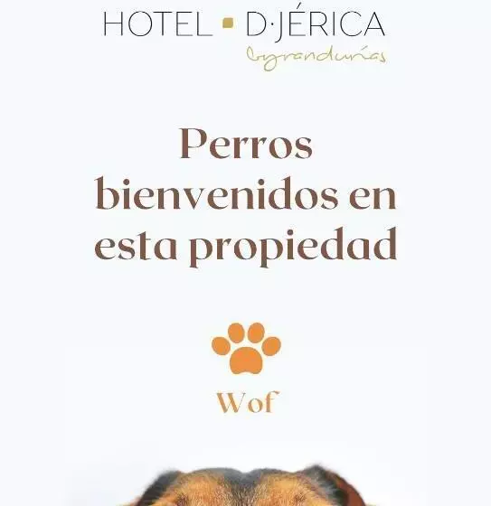 בית מלון כפרי De Jerica