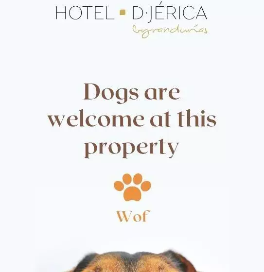 בית מלון כפרי De Jerica