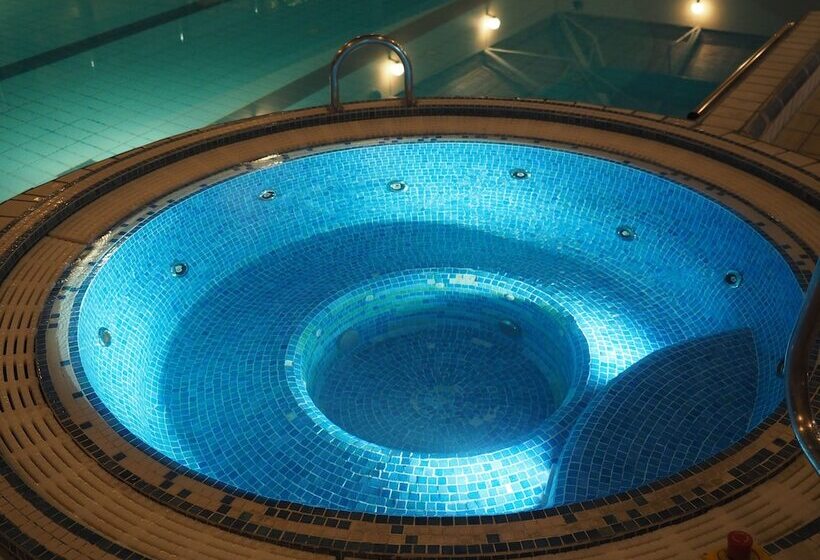 호텔 Tullamore Court