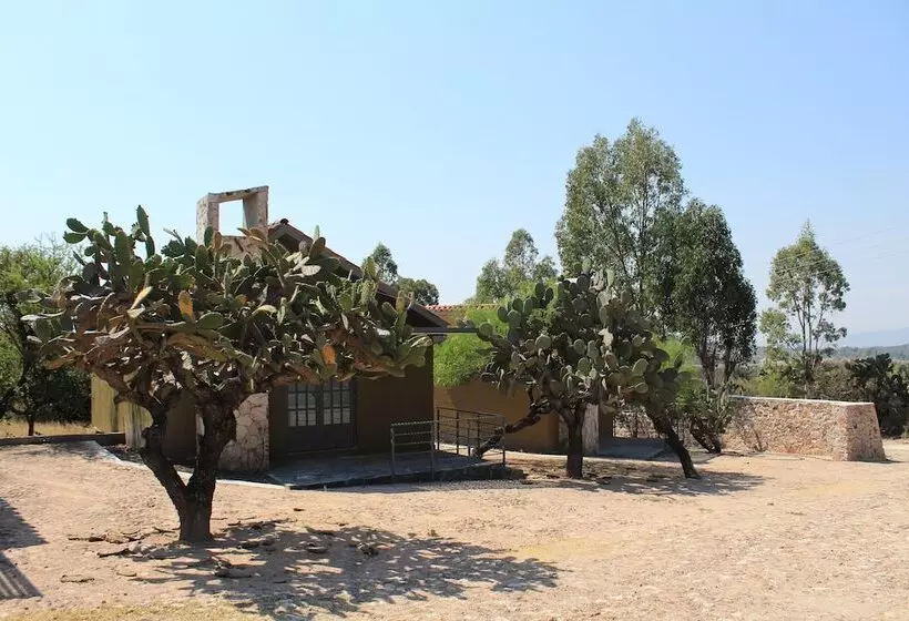 Lomakeskus Bodegas Vaivén