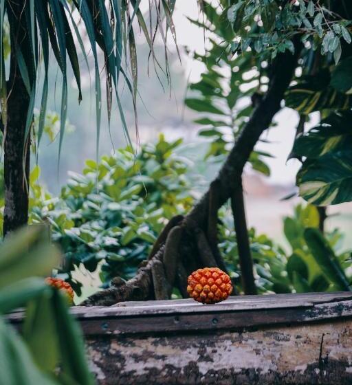 فندق The Postcard Galle