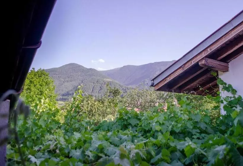 ペンション Guesthouse Juli