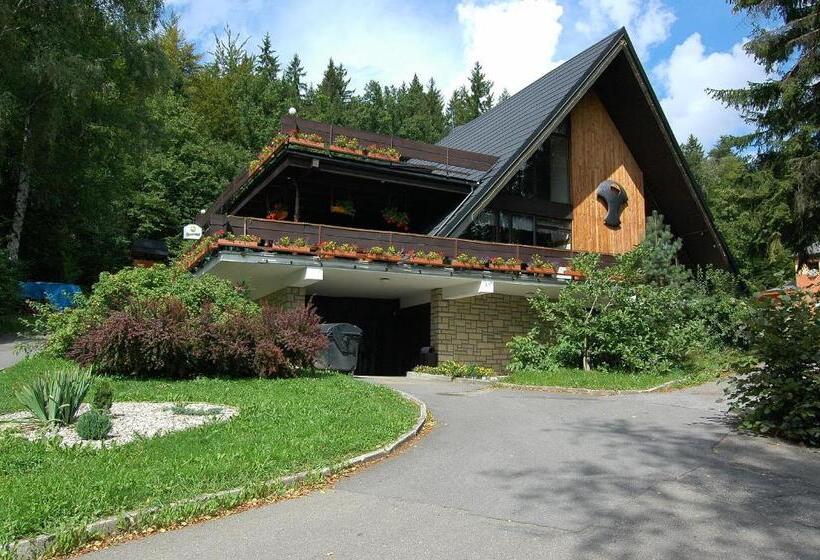 Panzió Penzion Forman