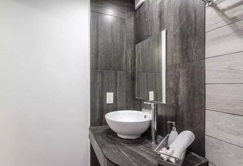 هتل La Colección, Universidad De Guanajuato, Centro