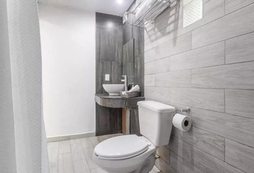 هتل La Colección, Universidad De Guanajuato, Centro