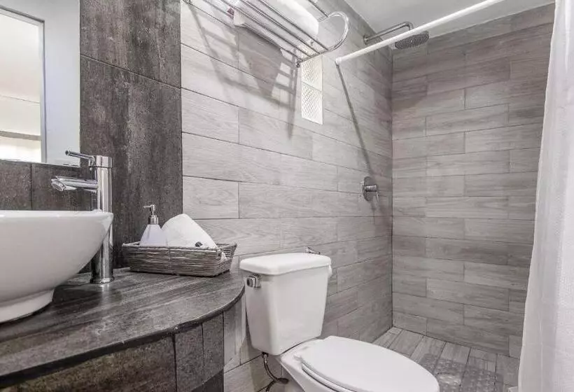 هتل La Colección, Universidad De Guanajuato, Centro