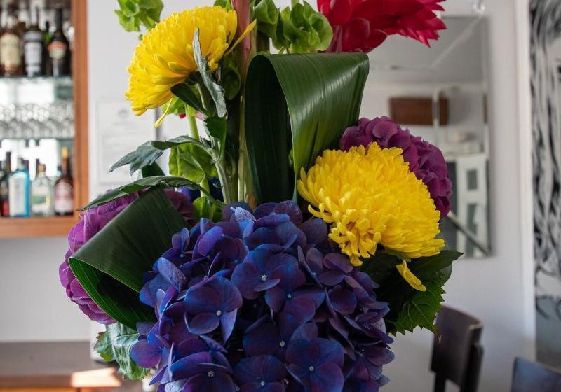 New Steine Hotel   B&b