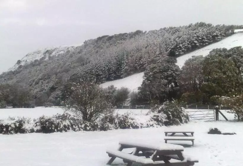 בית מלון כפרי The West Arms