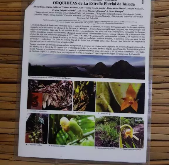 ホテル Cabaña Guainiana