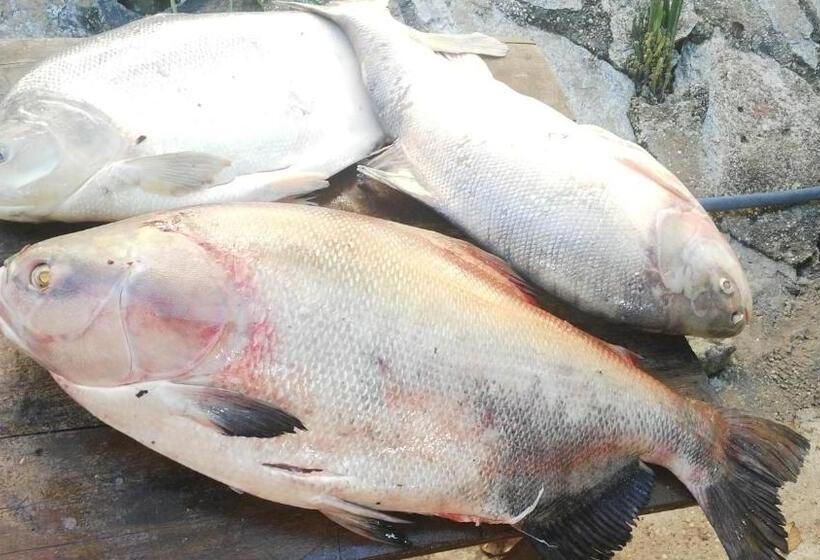 هتل Cabaña Guainiana