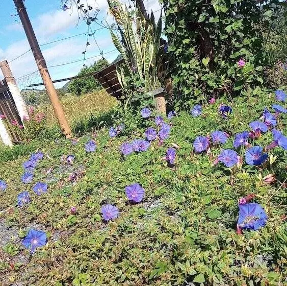 Hotelli Pousada Flores De Ipê