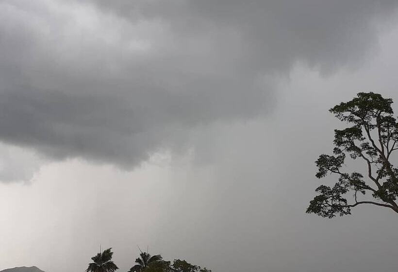 Hotel Pousada Flores De Ipê