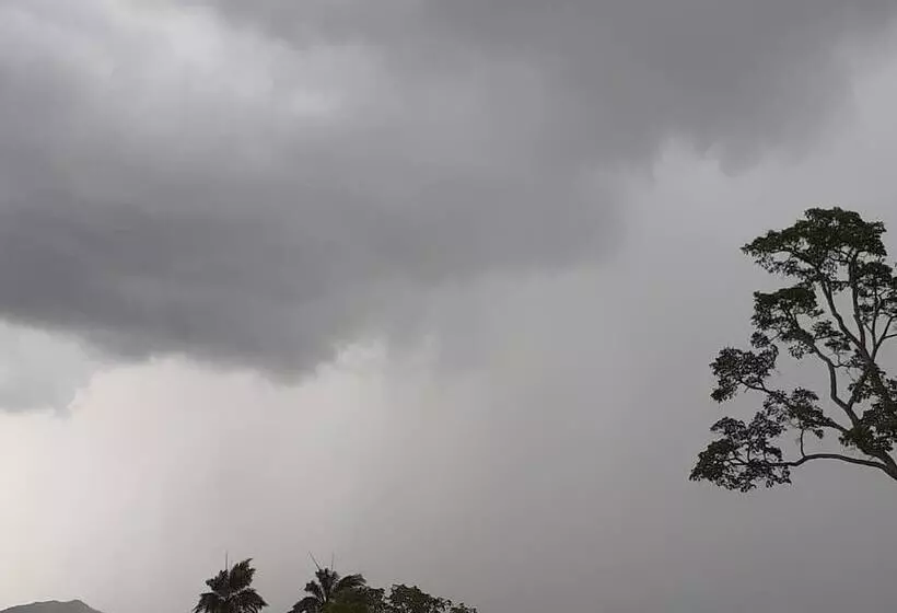 Hotelli Pousada Flores De Ipê