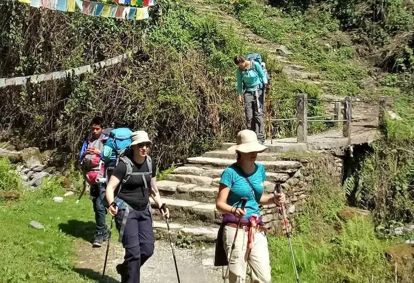 پانسیون Shree Yoga Retreat