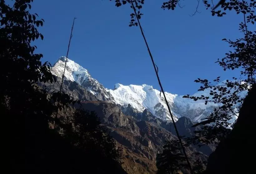 پانسیون Shree Yoga Retreat